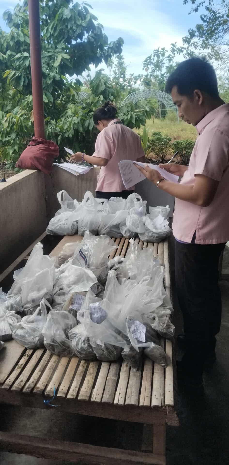 -Pinamalayan Staff  collecting and identifying soil samples